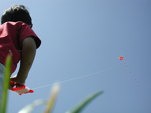 what alex flying a kite looks like to a grasshopper <br>... or to his father who fortunately owns a swivel body camera.