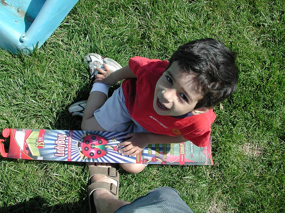 flying kites on art hill